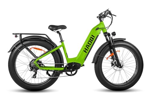 HAOQI Elektrofahrrad für Erwachsene, 250W bürstenloser Motor Mountainbike mit, 26" x 4.0 Fat Tire Ebike, 48V 20AH herausnehmbarem Akku, Elektrofahrrad mit 7 Gängen bis zu 25 km/h von HAOQI