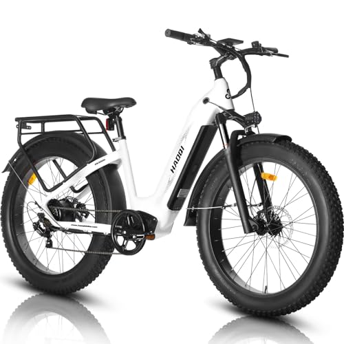 HAOQI Elektrofahrrad für Erwachsene, 250W bürstenloser Motor Mountainbike mit 48V 20AH herausnehmbarem Akku,26" x 4.0 Fat Tire Ebike, Elektrofahrrad mit 7 Gängen bis zu 25 km/h HAOQI Elektrofahrrad für Erwachsene, 250W bürstenloser Motor Mountainbike mit 48V 20AH herausnehmbarem Akku,26" x 4.0 Fat Tire Ebike, Elektrofahrrad mit 7 Gängen bis zu 25 km/h von HAOQI