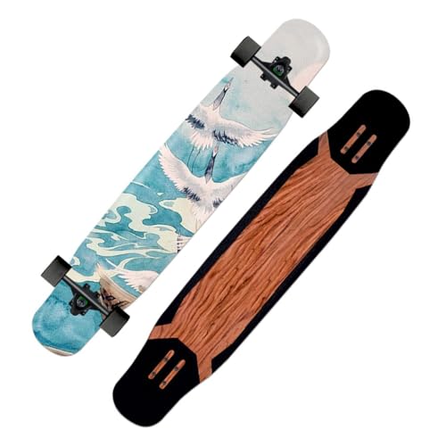 46 Zoll Longboards für Jungen Mädchen, Skateboard Longboard Anfänger für Extreme Sport Downhill Dancing, Longboard Cruiser Skateboard für Kinder Erwachsene Anfänger (Color : D) von HAQMG