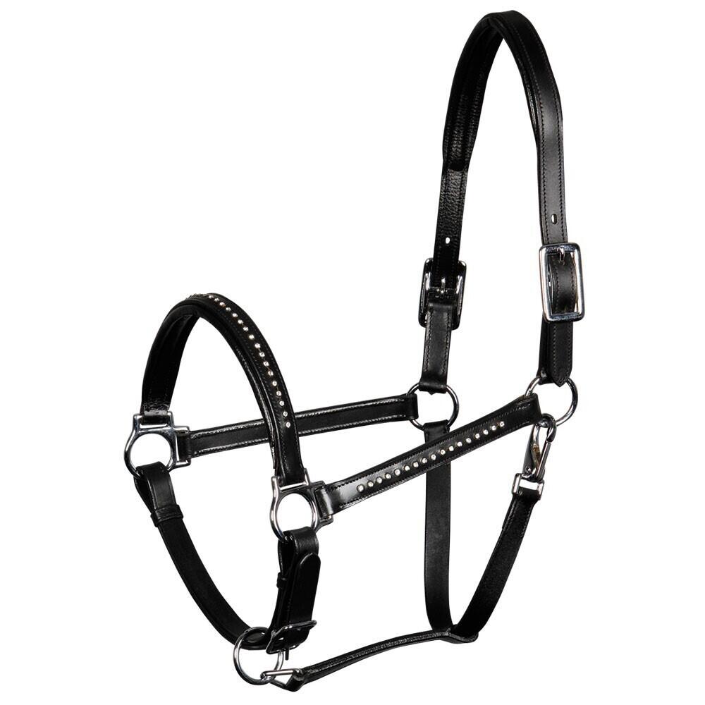 Halfter aus Leder Harry's Horse Finesse von HARRYS HORSE