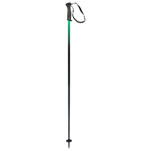 HEAD Unisex-Adult Frontside Black Green Skistöcke, Schwarz/Grün, 130 HEAD Unisex-Adult Frontside Black Green Skistöcke, Schwarz/Grün, 130 von HEAD