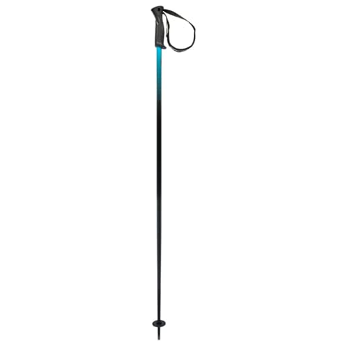 HEAD Unisex-Adult Frontside Black Speed blu Skistöcke, 105 HEAD Unisex-Adult Frontside Black Speed blu Skistöcke, 105 von HEAD