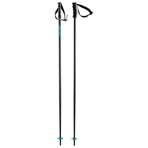HEAD Unisex – Adult Multi Skistöcke, blau, 135 HEAD Unisex – Adult Multi Skistöcke, blau, 135 von HEAD