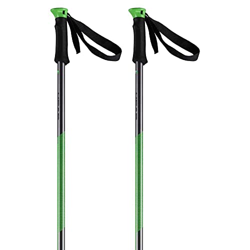 HEAD Unisex-Adult Multi S Skistock, neon grün, 125 HEAD Unisex-Adult Multi S Skistock, neon grün, 125 von HEAD