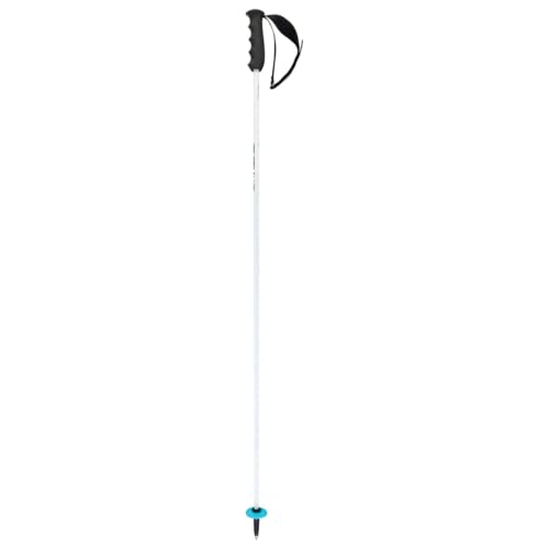 HEAD Unisex-Adult Worldcup Rebels Carbon Skistöcke, Weiß/Schwarz/Speedblau, 120 HEAD Unisex-Adult Worldcup Rebels Carbon Skistöcke, Weiß/Schwarz/Speedblau, 120 von HEAD