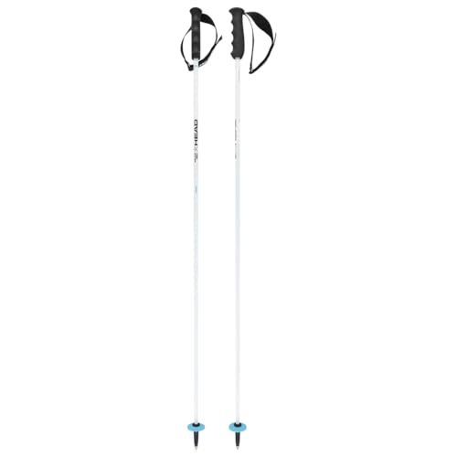 HEAD Unisex-Adult Worldcup Rebels Carbon Skistöcke, Weiß/Schwarz/Speedblau, 140 HEAD Unisex-Adult Worldcup Rebels Carbon Skistöcke, Weiß/Schwarz/Speedblau, 140 von HEAD