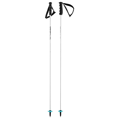 HEAD Unisex – Adult Worldcup Rebels Carbon Skistöcke, weiß, 130 HEAD Unisex – Adult Worldcup Rebels Carbon Skistöcke, weiß, 130 von HEAD