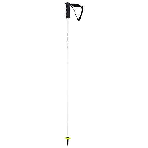 HEAD Worldcup Rebels Carbon Skistöcke, Schwarz/weiß, 125 HEAD Worldcup Rebels Carbon Skistöcke, Schwarz/weiß, 125 von HEAD