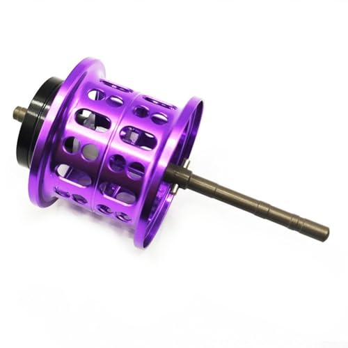 HEIBTENY Angelrollenspule Für DAIWA Für SALAMANDURA 70 Für TATULA 70, Bremsstruktur SV, 0.8YGK-100M, PE-Linie(Purple) von HEIBTENY