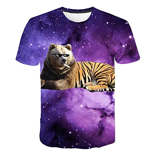 HIMKSRE Kinder Tiger T-Shirts Mädchen Jungen Shirts Jungen T-Shirt Baby Kurzarm T-Shirt Cartoon Tops Tier T-Shirt Lustige Kinderkleidung(Yellow1,120) von HIMKSRE