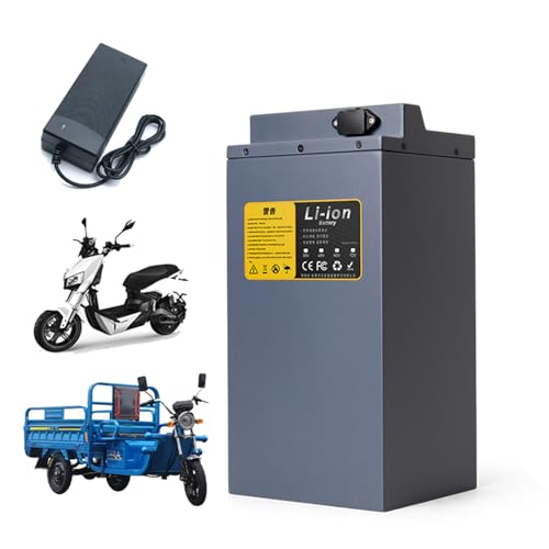 HJGHY 48 V 60 V Ebike Lithium-Scooter-Batterie 48 V 60 V 40 Ah 45 Ah 50 Ah 55 Ah 60 Ah 65 Ah Lithium-Ionen-Akkupack Wiederaufladbare Motorradbatterie Für Moped-Dreiradmotor,60v,60Ah von HJGHY