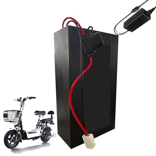 HJGHY 48V 10Ah 12,5Ah 15Ah 18Ah Elektrische Fahrrad Batterie 48V Roller Lithium-Ionen Elektrische Motorrad Batterie für Mountainbike Motor,48v 12.5ah von HJGHY