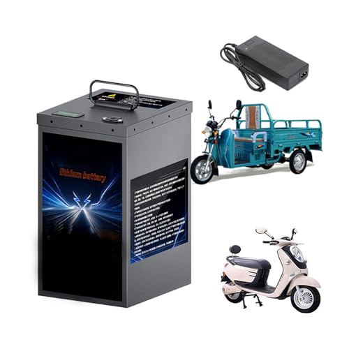 HJGHY 48V 20Ah 32Ah 36Ah 40Ah 55Ah 60Ah Lithium LiFePO4 E-Bike-Akku 48V Elektromotorrad-Akku für Moped-Dreirad-Fahrradmotor mit Ladegerät,48v,55Ah von HJGHY