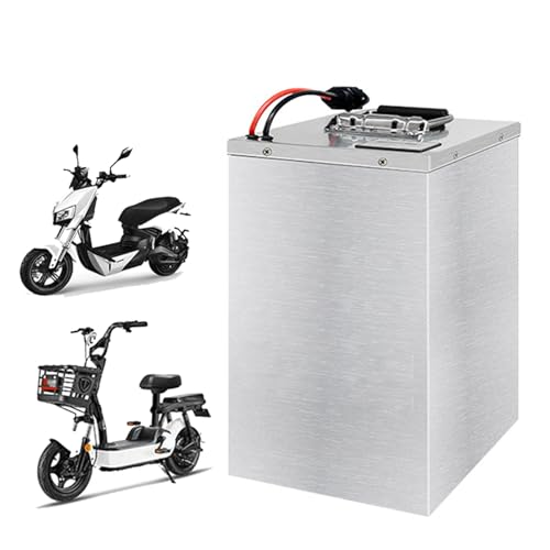 HJGHY 48V 60V 15Ah 20Ah 25Ah 30Ah Ebike LiFePO4 Batterie 48V 60V Lithium-Eisen Phosphat Batterie Elektrische Motorrad Batterie mit Ladegerät,48v,30Ah von HJGHY