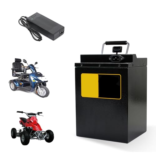 HJGHY 48V 60V Motorradbatterie 48V 60V 15Ah 20Ah 25Ah 35Ah 45Ah 55Ah Ebike-Batterie 48V 60V Lithium-Batteriepack für 0-3500W Moped-Fahrrad-Dreiradmotor,60v,45Ah von HJGHY