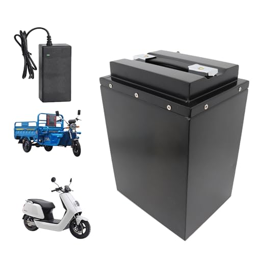 HJGHY 48V E-Bike Lithium-Motorrad-Akkupack 48V 20Ah 28Ah 32Ah 40Ah 60Ah Moped Dreirad Motorradbatterie für 0-3000W Motorkit mit Ladegerät,350mm,48V 28Ah von HJGHY