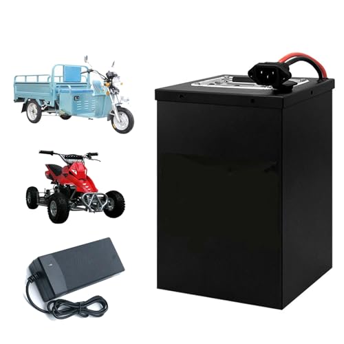 HJGHY 60V 16Ah 18Ah 20Ah 25Ah 30Ah 45Ah 50Ah Elektrische Lithium LiFePO4 Batterie 60V Ersatz Motorrad Batterie für Moped Dreirad Ebike Motor,60v,45Ah von HJGHY