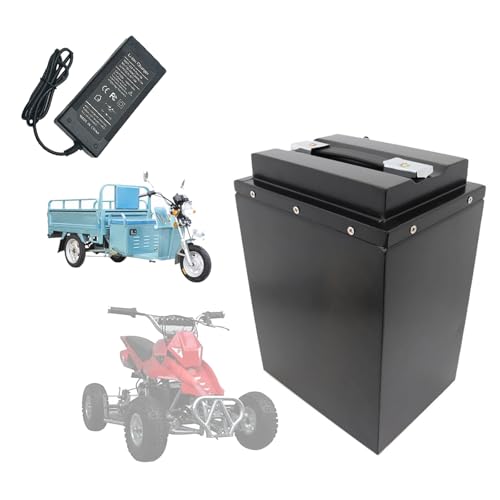 HJGHY 60V 20Ah 28Ah 32Ah 40Ah 60Ah Motorradbatterie 60V Lithiumbatterie 60V E-Bike-Batterie für 0-3600W Moped-Dreiradmotor,350mm,60V60Ah von HJGHY