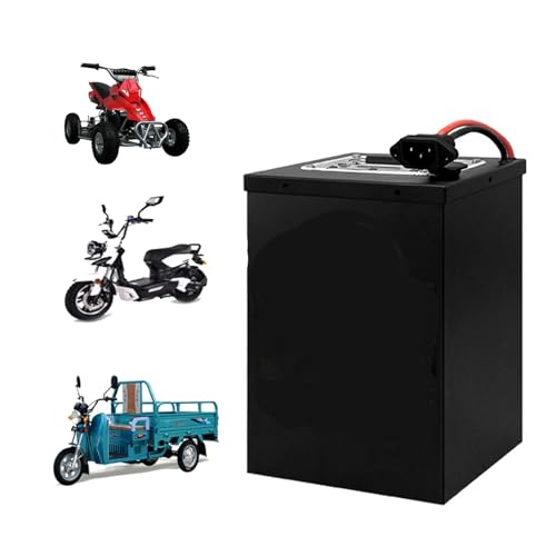 HJGHY Elektrische Motorradbatterie 60V 16Ah 18Ah 20Ah 25Ah 30Ah 45Ah 50Ah Ebike Lithium-Batteriepack LiFePO4 Batterie für 0-3000W Moped Fahrrad Dreiradmotor,60v,45Ah von HJGHY