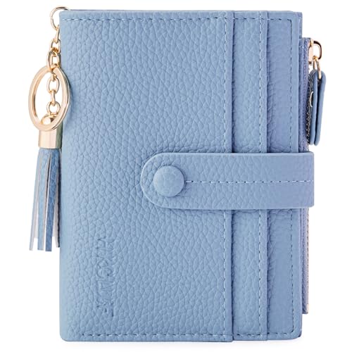 HKCLUF Geldbörse Damen Kleine, Geldbeutel Frauen Leder, RFID Portemonnaie Brieftasche Münzfach mit Quaste Damengeldbörsen Reißverschluss Viele Fächer Nebelblau HKCLUF Geldbörse Damen Kleine, Geldbeutel Frauen Leder, RFID Portemonnaie Brieftasche Münzfach mit Quaste Damengeldbörsen Reißverschluss Viele Fächer Nebelblau von HKCLUF