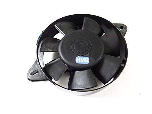 HMParts Lüfter komplett für Jinling JLA-21B Quad RS14 Racequad Rennquad HMParts Lüfter komplett für Jinling JLA-21B Quad RS14 Racequad Rennquad von HMParts