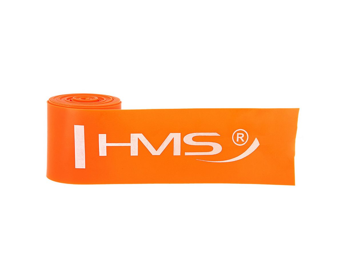 HMS Trainingsband Fitnessband Übungsband Sportband Widerstandsband, Belastungsbereich: 7 – 16 kg HMS Trainingsband Fitnessband Übungsband Sportband Widerstandsband, Belastungsbereich: 7 – 16 kg von HMS