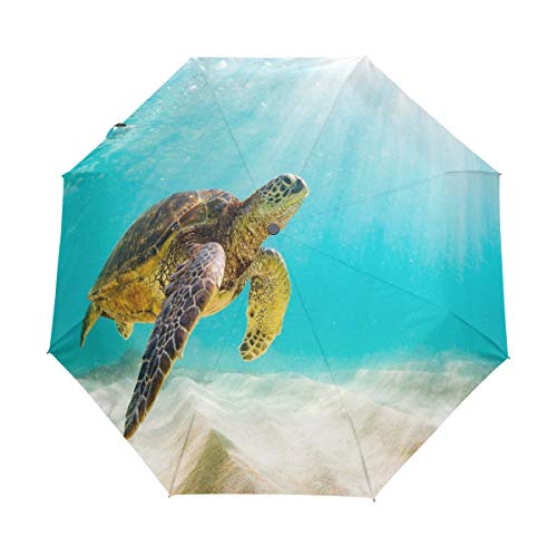 RXYY Aquarell Meer Schildkröte Falten Auto Öffnen Schließen Regenschirm für Frauen Männer Jungs Mädchen Winddicht Kompakt Reise Leicht Regen Regenschirm RXYY Aquarell Meer Schildkröte Falten Auto Öffnen Schließen Regenschirm für Frauen Männer Jungs Mädchen Winddicht Kompakt Reise Leicht Regen Regenschirm von HMZXZ