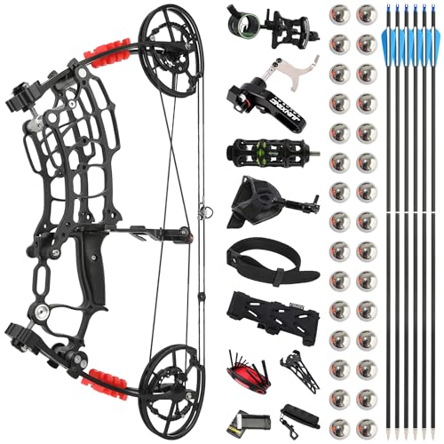 Doppelter Zweck Bogenschießen Compoundbogen Set - 30-70lbs Compound Bögen und Pfeil mit Stahlkugel Kit, Rechts- und Linkshänder Bogen Stahl für Outdoor-Jagd Ziel Übung (Schwarz) von HNZMDY