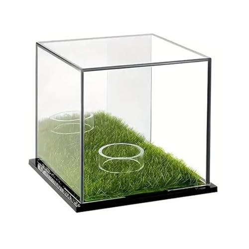 HNsdsvcd Golfball Vitrine Ständer Acryl Durchsichtige Baseball Aufbewahrungsbox Quadratischer Display Kleine Vitrine von HNsdsvcd