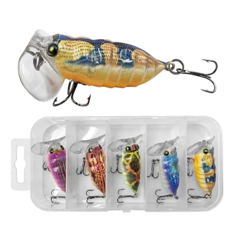 HOUSON 5 PCS Elritze Köder Kit, Angelköder künstlicher bionischer starrer Köder Forellenköder Künstlicher Kunstköder für Salzwasser Süßwasser Forelle Barsch HOUSON 5 PCS Elritze Köder Kit, Angelköder künstlicher bionischer starrer Köder Forellenköder Künstlicher Kunstköder für Salzwasser Süßwasser Forelle Barsch von HOUSON