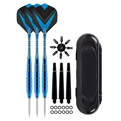 HRODA Darts Metallspitzen Set 22 Gramm Professionelle Spitze Nadel Darts Set Wettkampftraining Spezialität Mit Box von HRODA