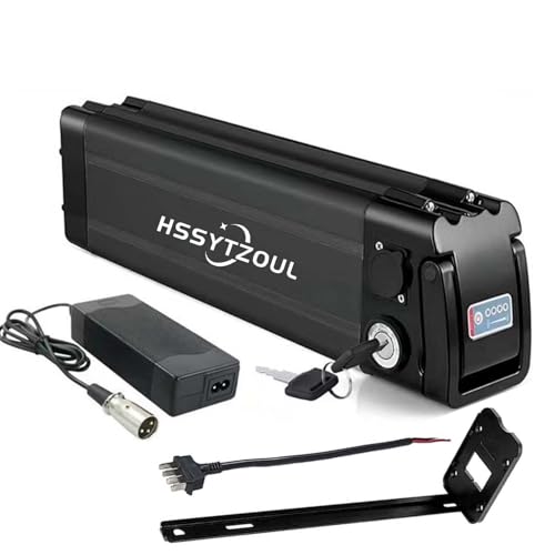 HSSYTZOUL 48V / 36V Ebike Akku Für 1000W / 750W / 500W 350W 200W Motor, 10Ah/13Ah/15Ah/20Ah Elektrofahrräder Batterie Mit Ladegerät Und Montagesockel 4-Pin-Entladungsanschlusskabel,48v,20AH von HSSYTZOUL