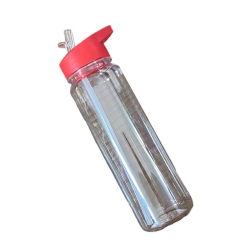 HUANGENG Transparente Wasserflaschen mit Strohhalm, auslaufsicher, Sport-Wasserflaschen, 700 ml, große Kapazität, Wasserbecher für Fitnessstudio, Schule von HUANGENG