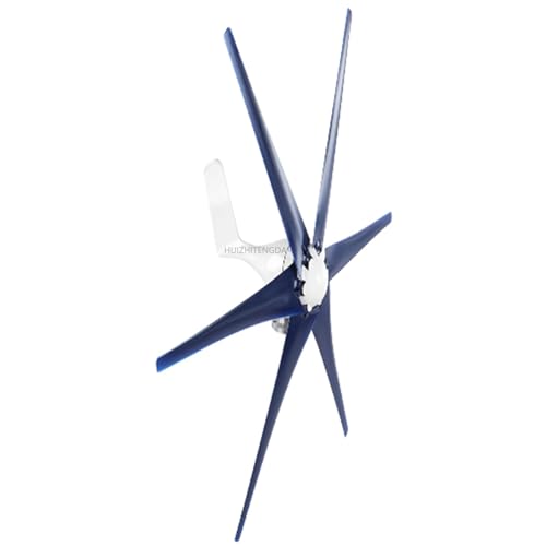 HUIZHITENGDA 12v,3000W 12 V 24 V 48 V Horizontaler Windturbinengenerator mit Controller 6 Blätter Blau Horizontaler Windkraftan von HUIZHITENGDA