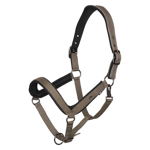 HV Polo Halfter HVPEssential anatomisch geformt Stone, Größe:C/S HV Polo Halfter HVPEssential anatomisch geformt Stone, Größe:C/S von HV Polo