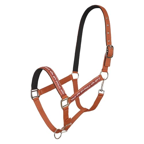 HV Polo Halfter HVPNena Fox braun, Größe:Cob HV Polo Halfter HVPNena Fox braun, Größe:Cob von HV Polo