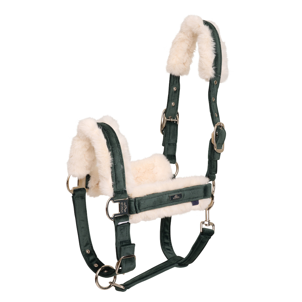 Halfter HVP-Welmoed Luxury Halfter HVP-Welmoed Luxury von HV Polo