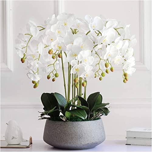 HXFFXHF Künstliche Blumen, künstliche Blumen mit Porzellan-Pflanzgefäß, künstliche Orchideen, Topfpflanzen, Set mit 10 künstlichen Phalaenopsis-Blumen, Arrangement in schöner Form von HXFFXHF