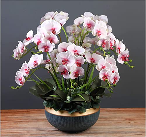 HXFFXHF Künstliche Blumen, künstliche Orchideen, Blumenarrangements, Orchideen, künstliche Topfpflanzen, Elegante künstliche Phalaenopsis-Blumen, Pflanzendekoration, schöne Form von HXFFXHF