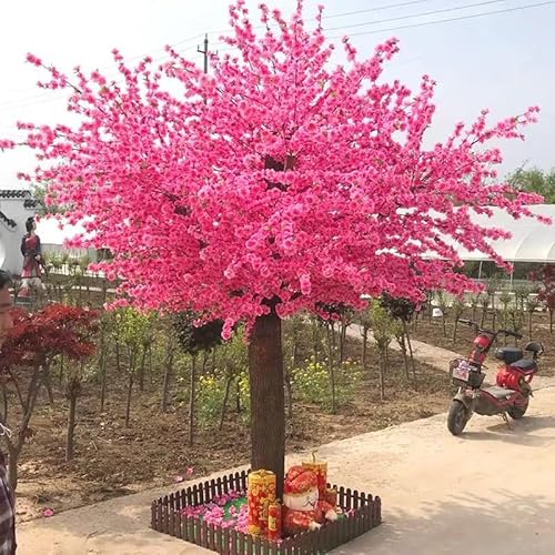 Wunderschöne künstliche Blume, rosa Kirschblütenbaum, künstliche Ranken, Blumen, zum Aufhängen, Rattan-Girlande, Wanddekoration, Seiden-Sakura, für Hochzeitsfeier, Zeremonie, Heimdekoration, 2,5 x 1,5 von HYGPP