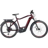 Haibike Trekking 11 750 Wh Herren rot 2023/2024 von Haibike