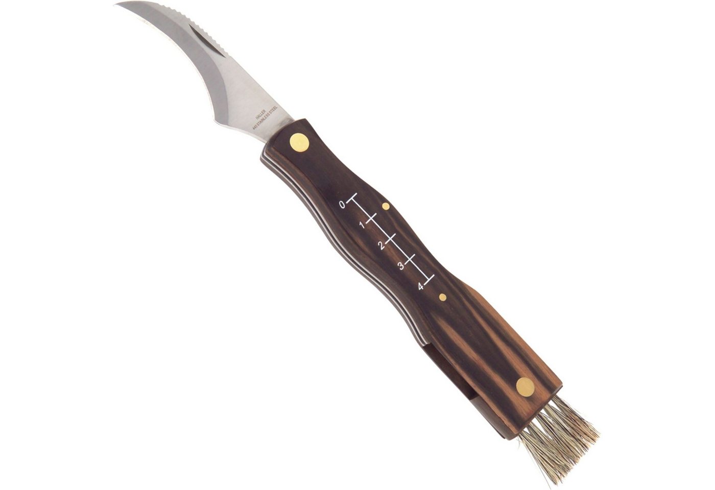 Haller Messer Taschenmesser Haller Pilzmesser, Bürste, Maßstab, 440, 14 cm Haller Messer Taschenmesser Haller Pilzmesser, Bürste, Maßstab, 440, 14 cm von Haller Messer