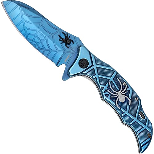 Haller Unisex – Erwachsene Taschenmesser Blue Spider Messer, blau, one Size Haller Unisex – Erwachsene Taschenmesser Blue Spider Messer, blau, one Size von Budoten