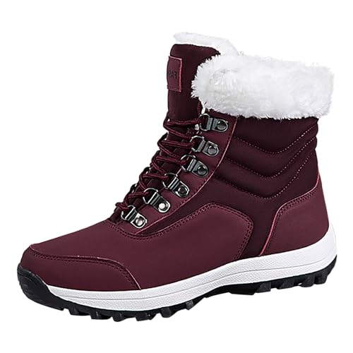 Winterstiefel Damen, Winterstiefel Damen Gefüttert, Boots Damen Winter Outdoor Herbst Hoch Boots Schneestiefel Boots Damen Braun Elegant Bequem Schlupfstiefel von Hanraz