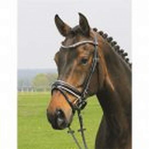 Hans Melzer Horse Equipment Trense Hagen, schwarz/schwarz unterlegt, Warmblut von Hans Melzer