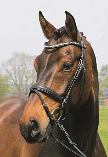 Hans Melzer Horse Equipment Trense Mechtersen, schwarz/silber, Vollblut Hans Melzer Horse Equipment Trense Mechtersen, schwarz/silber, Vollblut von Hans Melzer