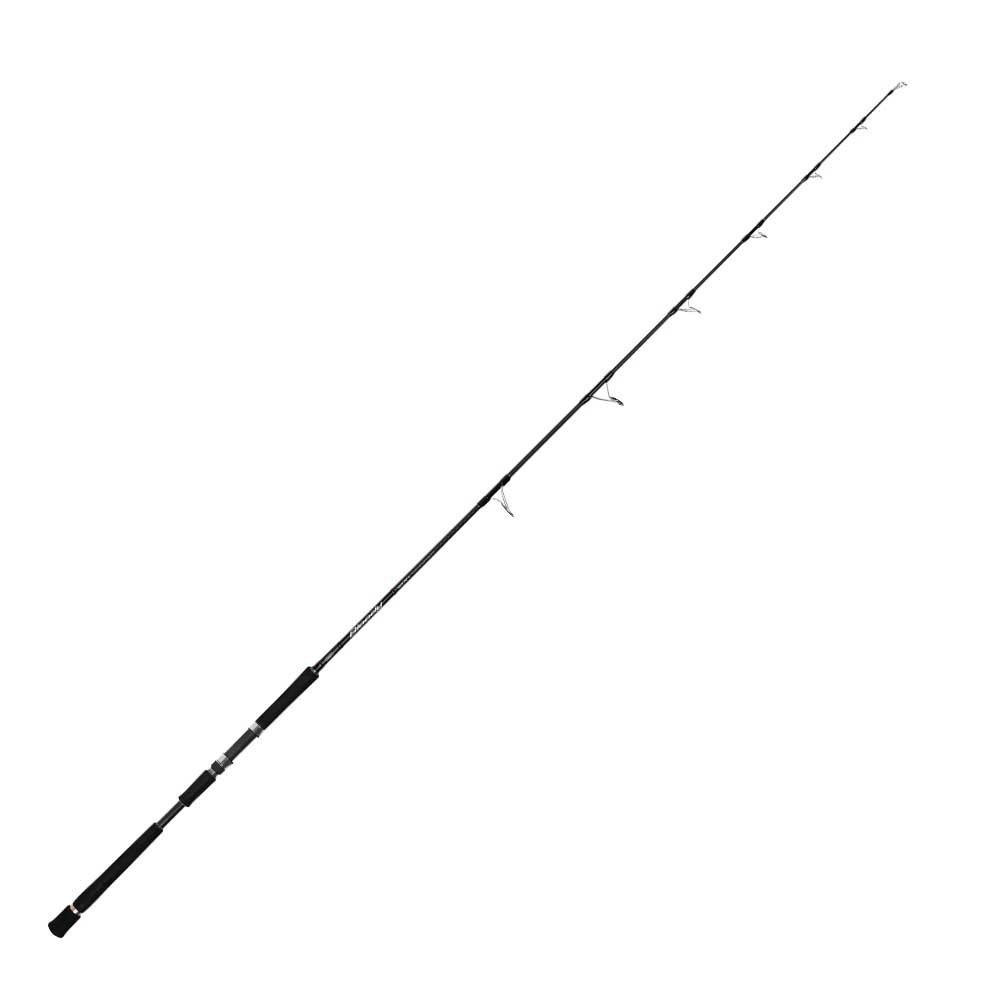 Hart Bloody Wild Pop Popping Rod Silber 2.39 m / 40-160 g von Hart