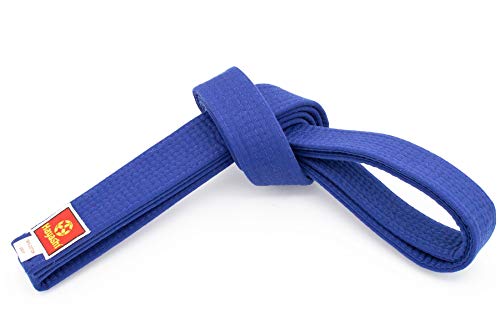 Hayashi Budogürtel - blau, Gr. 300 cm Hayashi Budogürtel - blau, Gr. 300 cm von Hayashi