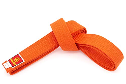 Hayashi Budogürtel in vielen Längen und Farben für Budokas - orange, 240 cm von Hayashi