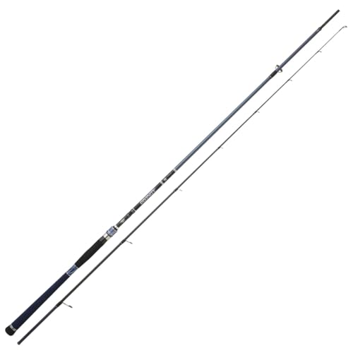 Hearty Rise Divinity 260cm 10-45g Rute - Spinnrute für Zander & Barsche, Angelrute zum Süßwasserangeln & Salzwasserangeln, Meeresrute zum Spinnfischen, Jigrute Hearty Rise Divinity 260cm 10-45g Rute - Spinnrute für Zander & Barsche, Angelrute zum Süßwasserangeln & Salzwasserangeln, Meeresrute zum Spinnfischen, Jigrute von Hearty Rise